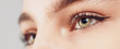 © oz - detail macro shot of beautiful eyes