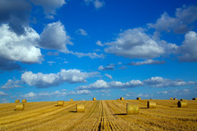 View Of Straw Bales On Grassy Landscape Against Cloudy Sky