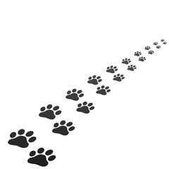 Wall Mural - Animal paw print trace vector illustration