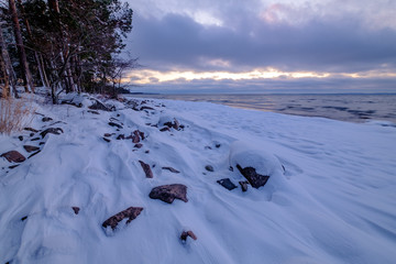 Wall Mural - snow and stones on a beach beside the forest