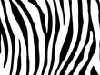 Zebra Muster Vektordatei