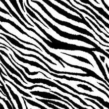 Zebra Stripes Background Wallpaper Free Stock Photo - Public Domain