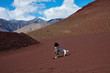 © Pascal Shirley - Woman and dog in the Desert