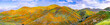 Panoramic view in Walker Canyon during the superbloom, California poppies covering the mountain valleys and ridges, Lake Elsinore, south California