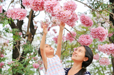 Portrait little girl and her mom touching Beautiful Tabebuia rosea blooming in spring season at garden outdoor.