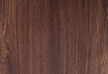 Wall Mural - pattern detail of teak wood texture