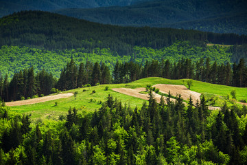 Wall Mural - beautiful mountain landscape, with mountain peaks covered with forest and a cloudy sky. bulgarian mo