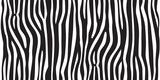 Fototapeta Konie - stripe animal jungle texture zebra vector black white print background seamless repeat