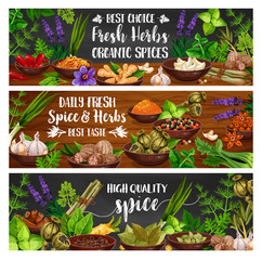 Wall Mural - Spices, culinary herbs and vegetable seasonings