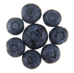 Wall Mural - blueberries isolated on white background