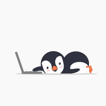 Funny Penguin With A Laptop