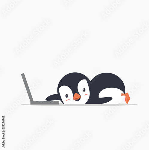 Fotografía funny penguin with a laptop