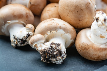 Fresh organic brown chestnut champignons from underground caves in Belgium