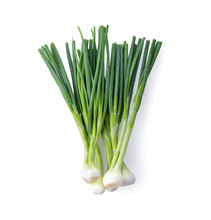 Green onion isolated on the white background . ftop view