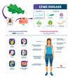 Lyme disease vector illustration. Labeled tick bite infection symptoms list