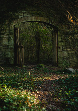 Secret Entrance In The Forest / Gothic Image Of An Entrance In A Castle