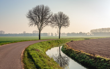 Two bare trees next to a curved country road in a Duch polder. One of the trees is reflected in the mirror smooth water surface of the ditch along a plowed field.