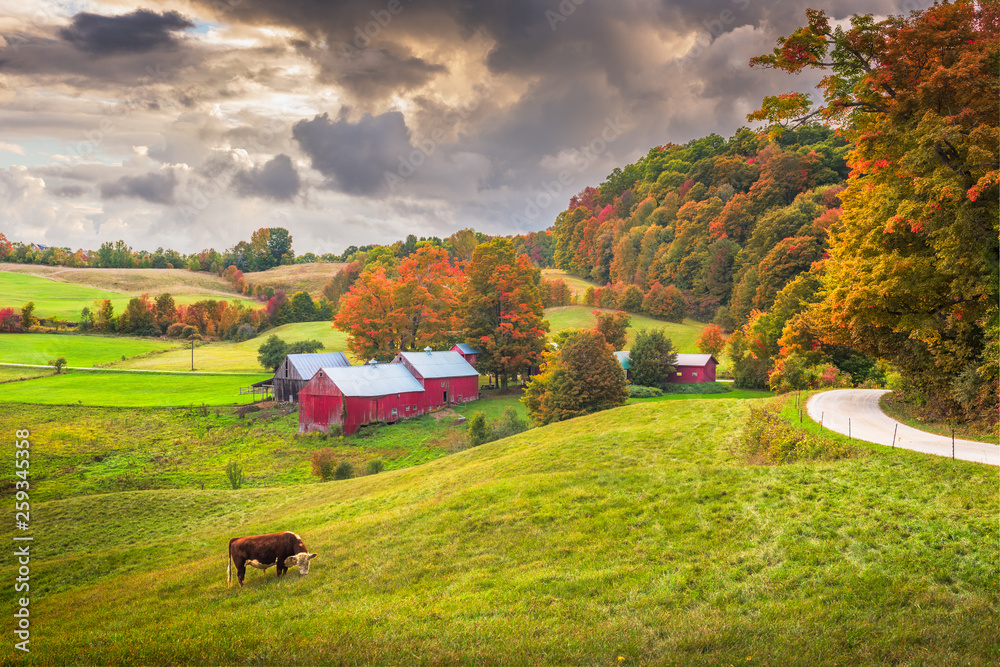 Farmland in Vermont - obrazy, fototapety, plakaty 