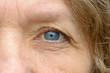 © michaelheim - Close up of one blue eye