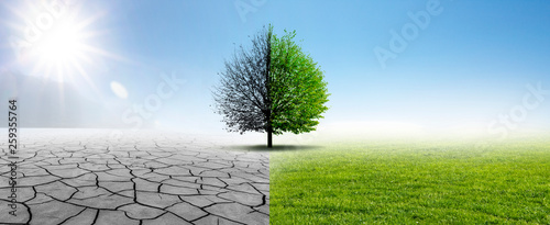 Drought and Green Nature Tableau sur Toile
