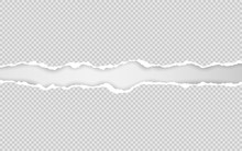 Horizontal Torn Paper Edge. Ripped Squared Horizontal White Paper Strips. Vector Illustration
