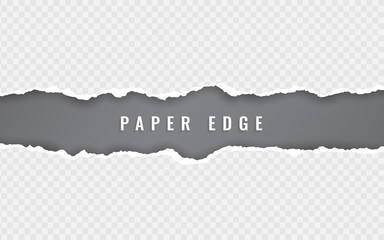 Poster - Torn paper edge. Torn paper stripes. Ripped squared horizontal paper strips. Vector illustration
