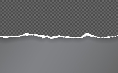 Poster - Torn paper edge. Torn paper stripes. Ripped squared horizontal paper strips. Vector illustration