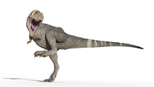 T-Rex Dinosaur, Tyrannosaurus Rex Reptile Stomping, Prehistoric Jurassic Animal Isolated On White Background, 3D Illustration