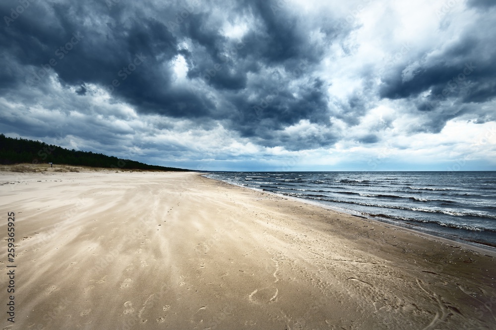 Spring landscape. Dark stormy sky over the Baltic sea, Latvia - obrazy, fototapety, plakaty 