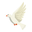 Dove bird flying cartoon