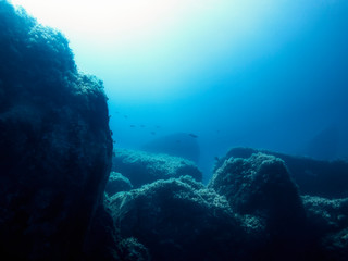 background of a rocky seabed lit by the sun