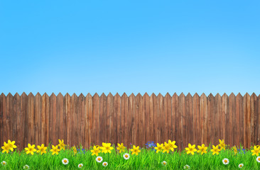 Canvas Print - spring flowers and wooden garden fence