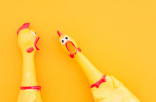 Surprised Chicken Toys Are Isolated On A Orange Background, One Looks At The Camera And Shouts, The Other One To The Side. Screaming Chicken Toys On A Yellow Background.