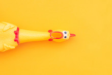Squeaky Chicken Toy Isolated On A Orange Background And Copyspace. Rubber Toy Chicken On A Yellow Background