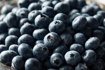 Raw Blue Organic Blueberries