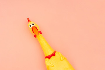 Creeping, rubber chicken toy on a pastel pink background. Rubber toy Chicken that screams isolated on a coral background. Copyspace