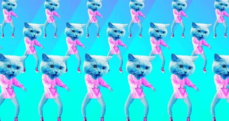 Wall Mural - Minimal animation design. Kitty sport dancing vibes.Cat power
