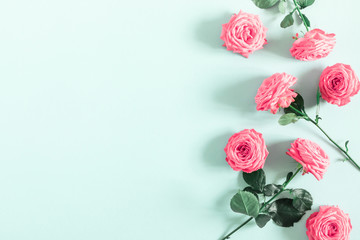 beautiful flowers composition. pink rose flowers on pastel blue background. valentines day, easter, 