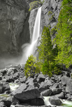 Lower Yosemite Falls In Yosemite National Park, California, Usa