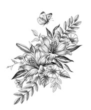 Hand Drawn Lily Flowers And Butterfly