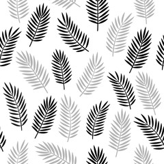 Wall Mural - Black and white and grey seamless ornamental decorative pattern with tropical palm leaves isolated on white background. Vector eps10 minimalist background.