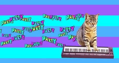 Wall Mural - Minimal animation gif art. Funny cat with a synthesizer. Dancing mood