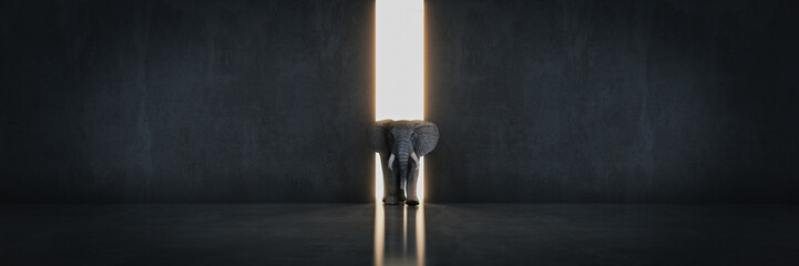 elephant in the room near wall. Creative concept