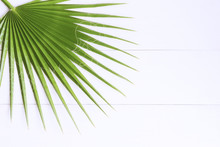 Top View Of Natural Green Palm Leaf On  White Wooden Background. Desert Fan Palm For Summer Times Concept. Summer Vacation Background With Copy Space.