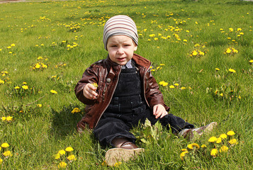 Portrait of beautiful little baby boy happy smiling, sitting on fresh green grass around blooming dandelions in the park