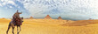 Panorama of the Giza Pyramids and a bedouin wearing a jellabiya on a camel, Egypt