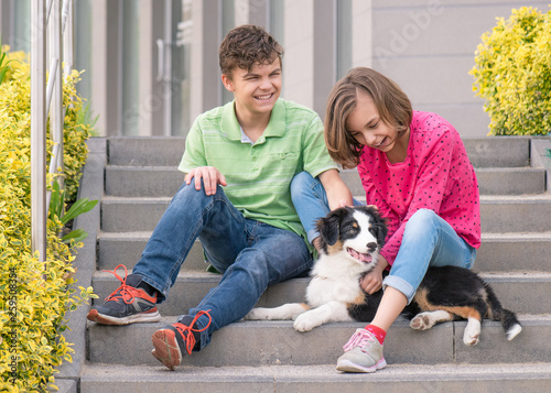 australian shepherd children