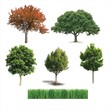 Set of vector trees