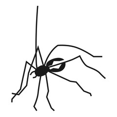 Poster - Wild spider icon. Simple illustration of wild spider vector icon for web design isolated on white background
