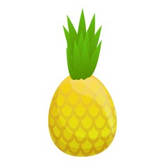 Poster - Organic pineapple icon. Cartoon of organic pineapple vector icon for web design isolated on white background